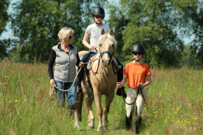 pferd auf wiese mit menschen