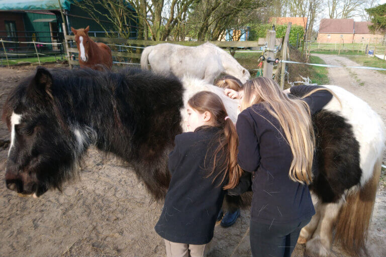 Kinder kuscheln mit Pony