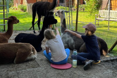 kinder sitzen in der alpaka und lamaherde