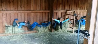kinder spielen im heu
